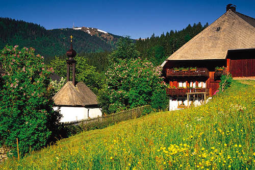 titisee2